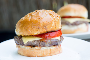 fresh tasty burger on wooden background