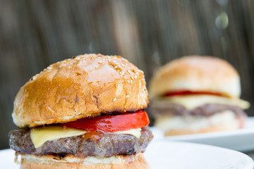 fresh tasty burger on wooden background