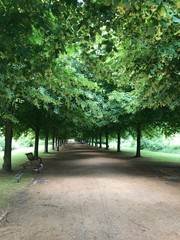 Nature in Frankfurt in Germany