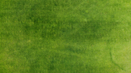 Fototapeta premium Antenowy. Zielona trawa tekstura tło. Widok z góry z drona.