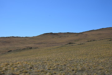 Near the Uybat river.Khakassia.