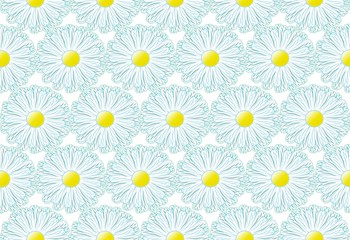Floral background illustrations with white daisies.