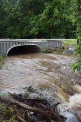 Ditch