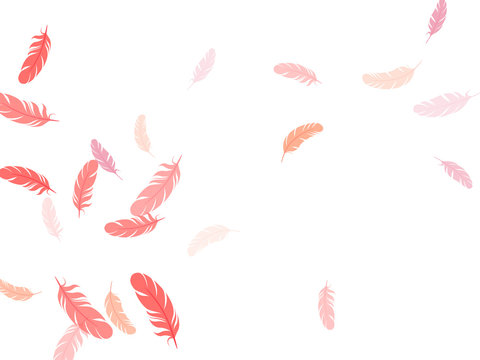 Falling Feather Elements Soft Vector Design.