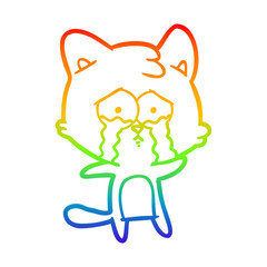 rainbow gradient line drawing cartoon cat