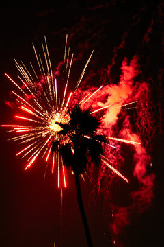 Palm Tree Fireworks