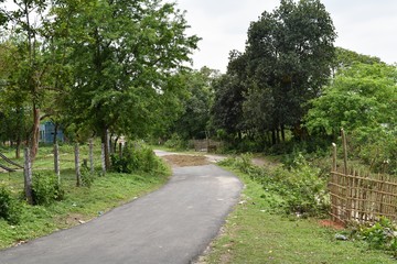 path in the park