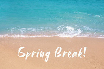 Picturesque view of beautiful sandy beach on sunny day