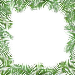 Frame made of fresh green tropical leaves on white background. Space for design