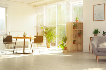 Trendy room interior with different home plants