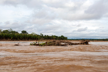 View of Beni river and rainforest of Madidi national park in the upper Amazon river basin in Bolivia, South America