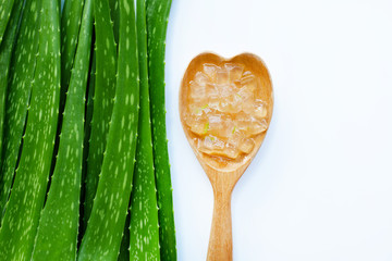Aloe vera is a popular medicinal plant for health and beauty