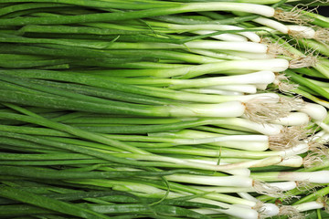 Fresh green onions as background, top view