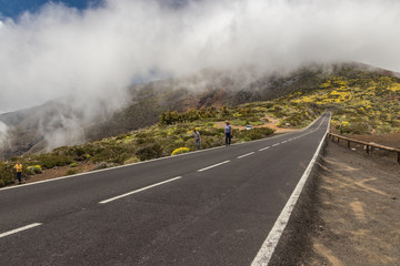 Modern road, runs along the streams of frozen lava and surrounded by mountain vegetation, rests on the clouds, flowing into the caldera valley.. National Park Teide, Tenerife, Canary Islands, Spain - obrazy, fototapety, plakaty