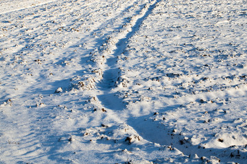 Footprints in the snow