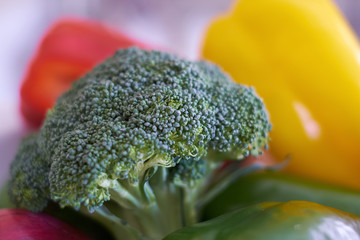 A head of organic brocolli with red and yellow peppers