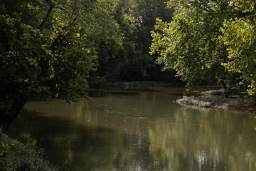 The Flint River in North Alabama