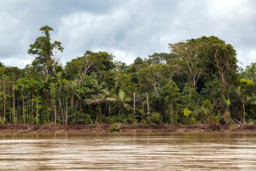 View of Beni river and rainforest of Madidi national park in the upper Amazon river basin in Bolivia, South America