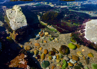 Stones on the bottom of a beach rocks