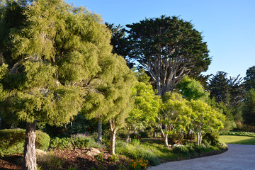 An evening at the park