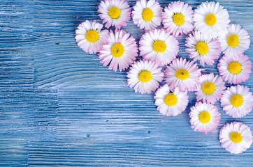 Obraz premium Summer flowers on blue wooden background. Photo