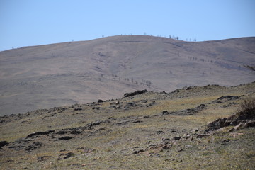 Near the Uybat river.Khakassia.