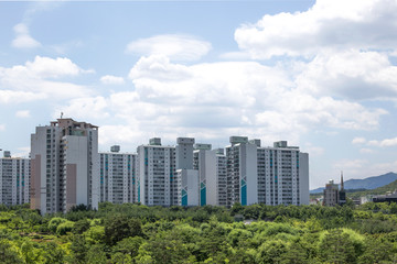 Fototapeta na wymiar Green grass parks with apartment building.
