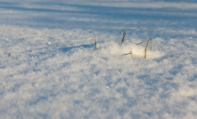 Winter season. Photo