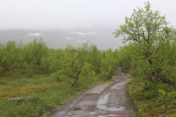 Fototapeta na wymiar Road in bog at Nikkaluokta in Sweden on a rainy day