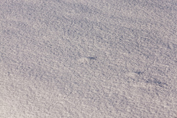 Snow surface in winter