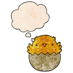 cartoon chick hatching from egg and thought bubble in grunge texture pattern style