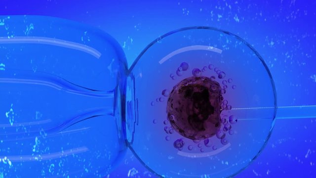 Microscopic view of drug delivery into cell, needle puncture of cell and drug injection. Futuristic concept of cure on molecular level.