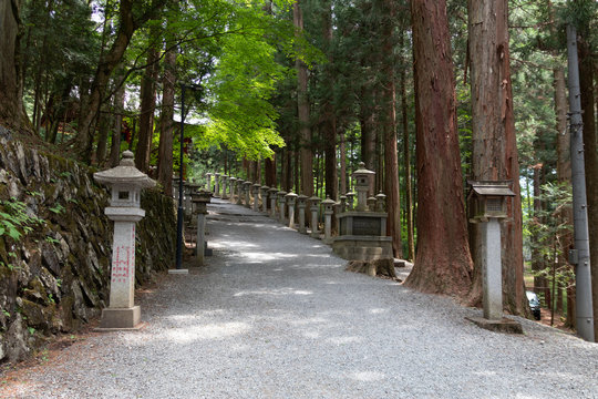 三峯神社の道中