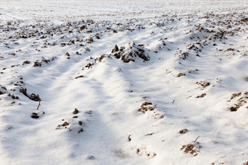 Fototapeta premium plowed field under snow