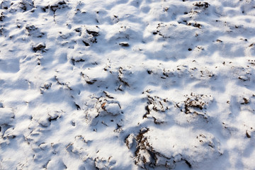 land covered with snow, close-up