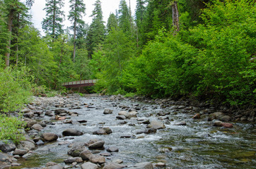 A slow shallow river bends and ripples peacefully over a bed of colorful stones in a lush green...