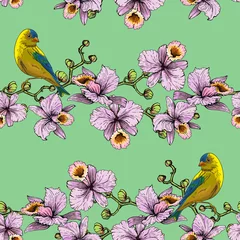 Stickers pour porte Orchidee Oiseaux sur des branches d& 39 orchidées