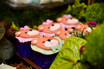 well born popular sweet portugal