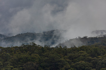 A severe weather mass of clouds over a gully filled with gum trees