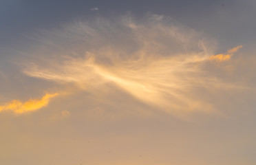 Cloud structure at sky like a angel