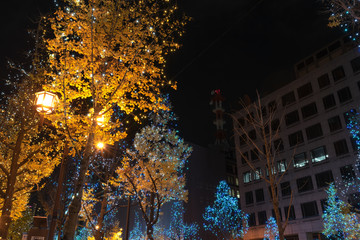 illumination event festival in the city