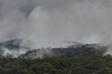 A severe weather mass of clouds over a gully filled with gum trees