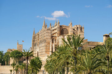 Fototapeta na wymiar The cathedral of Santa Maria of Palma de Mallorca, Spain