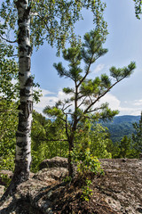 Fototapeta premium summer landscape with mountains and clouds