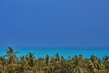 Sea, sky and trees in a tropical rainy colours       