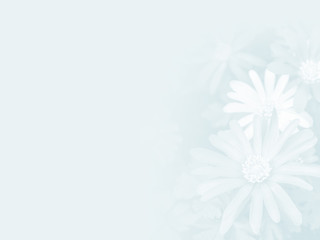 abstract flower background