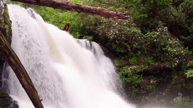Rushing water at Abrams Falls after rain 4k