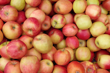 Close up full frame view of fuji apples displayed for sale at a market stand