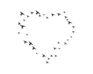 Bird Logo Template vector illustration