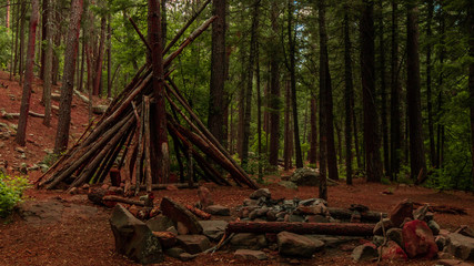 Forest Teepee
